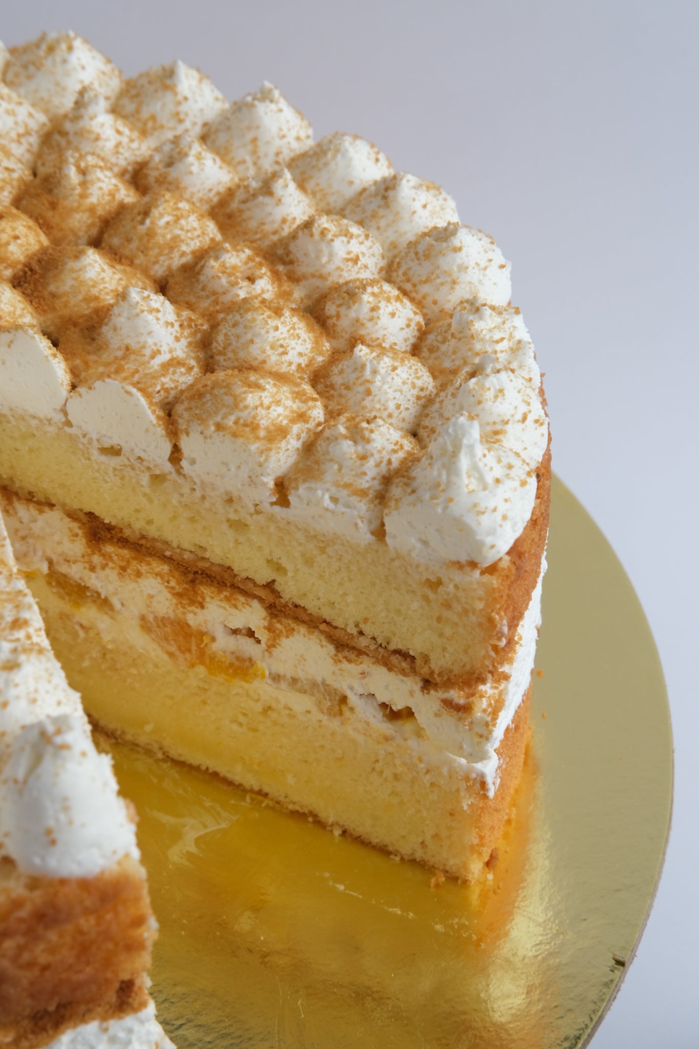 TROPICAL TRES LECHES CAKE