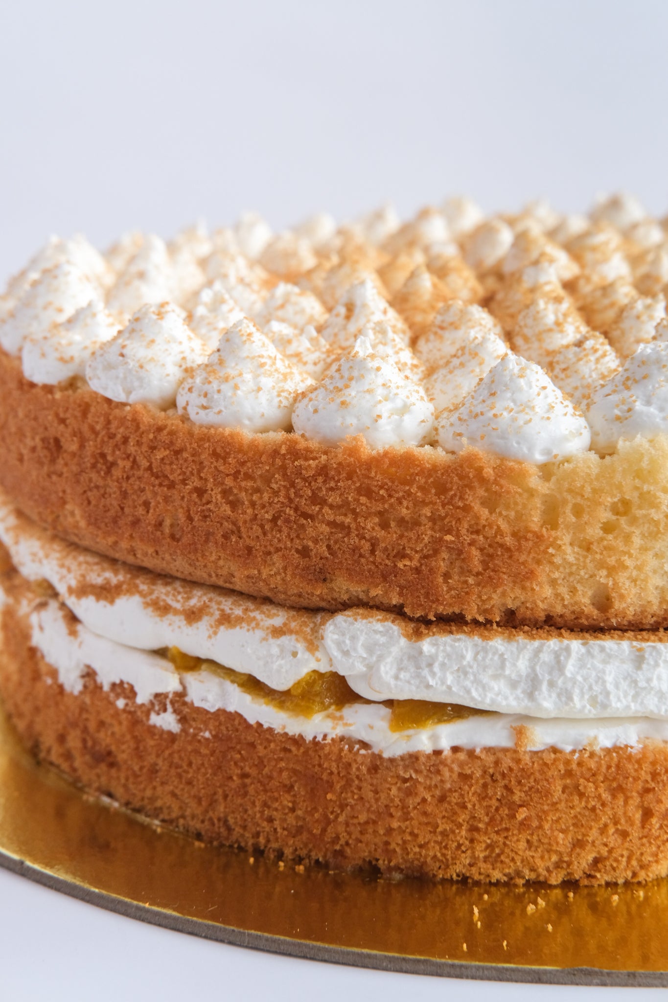 TROPICAL TRES LECHES CAKE